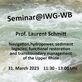Seminar@IWG-WB Prof. Laurent Schmitt